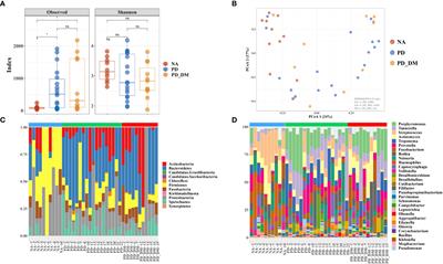 Differential microbiota network in gingival tissues between periodontitis and periodontitis with diabetes